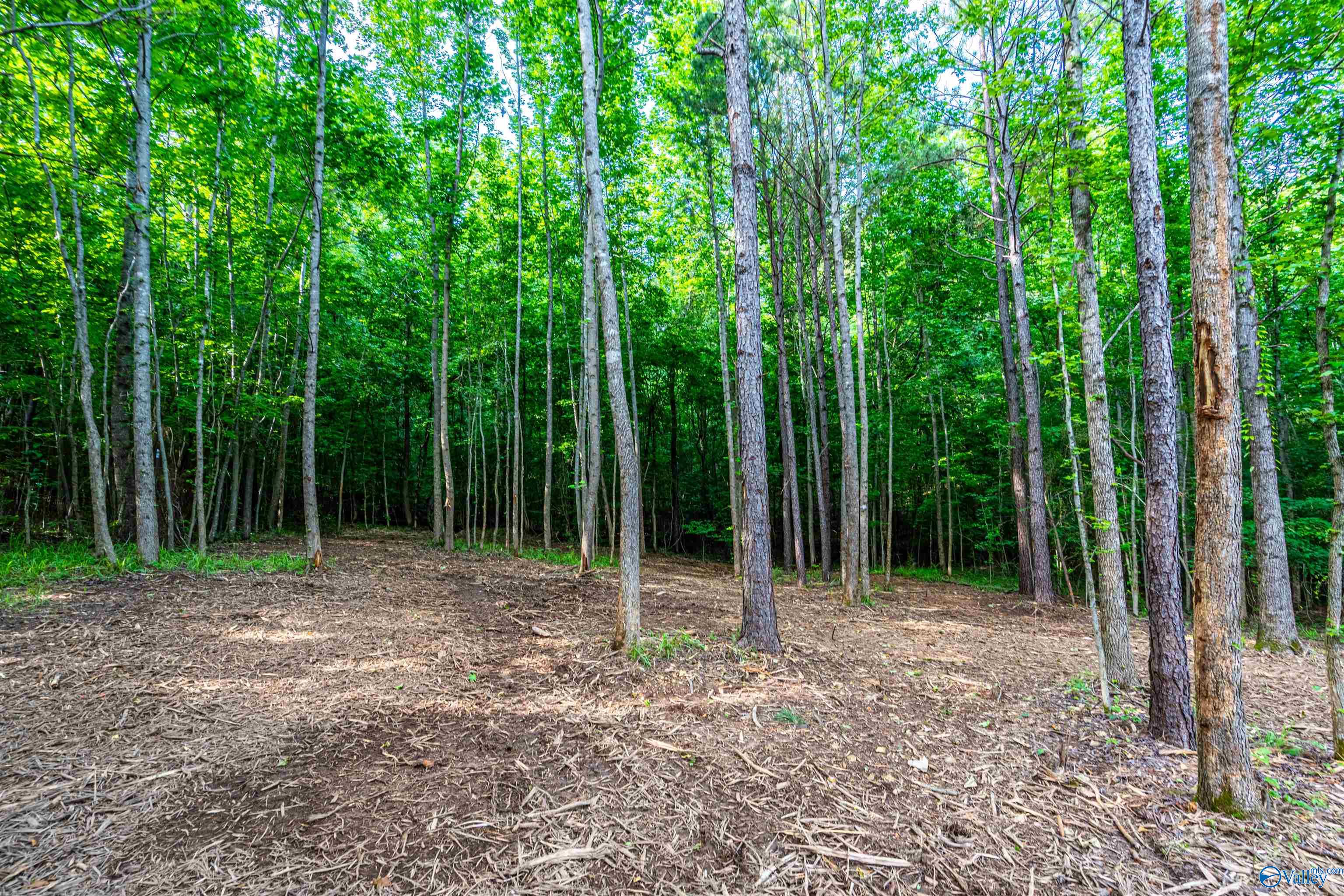Lot 162 Sergeant Holden Lane, Athens, Alabama image 6