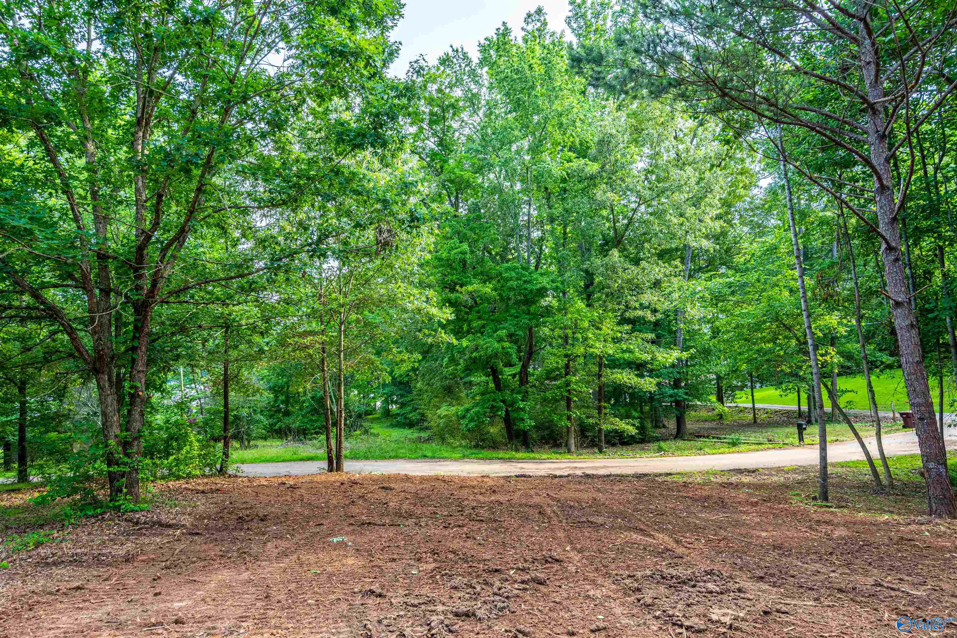 Lot 162 Sergeant Holden Lane, Athens, Alabama image 8
