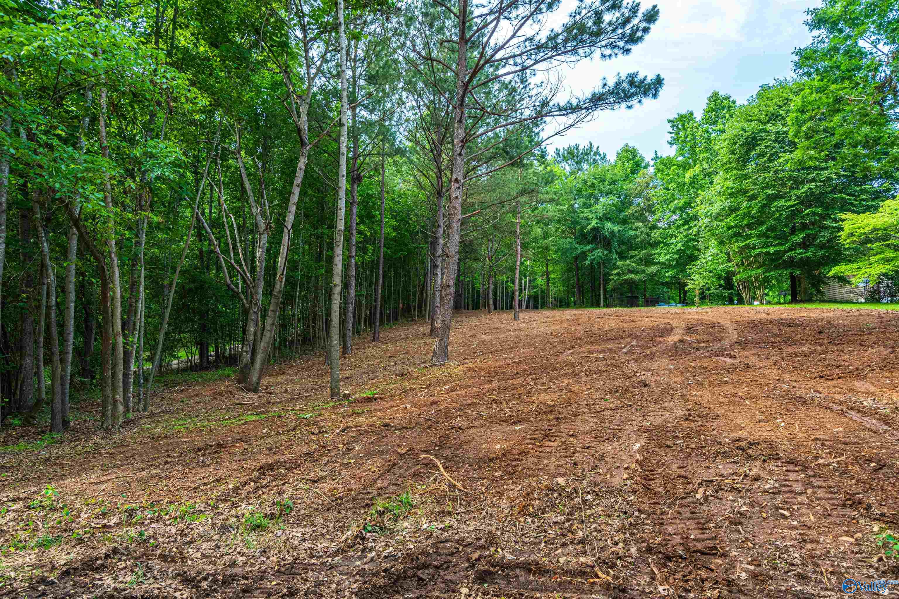 Lot 162 Sergeant Holden Lane, Athens, Alabama image 10