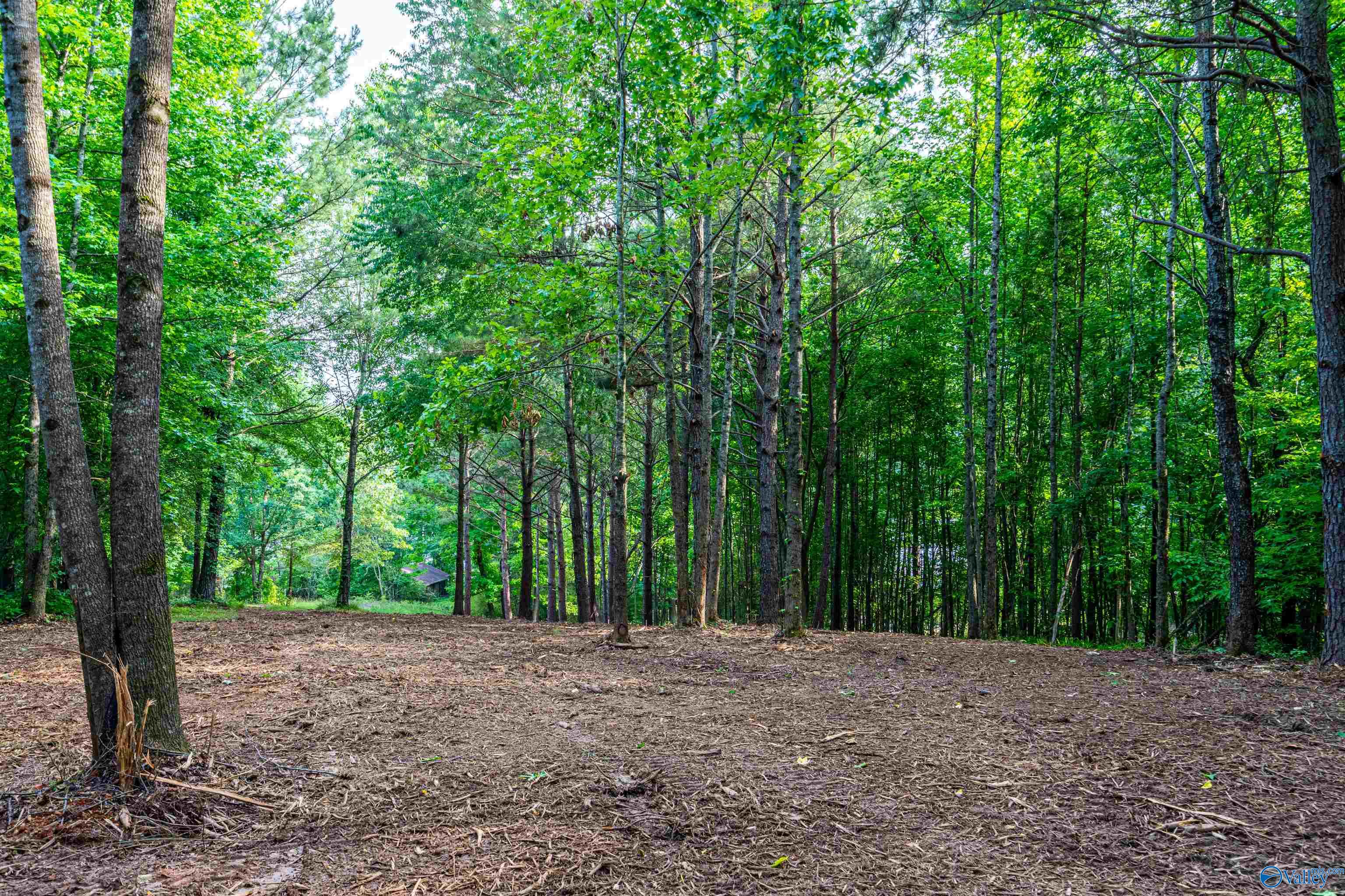 Lot 162 Sergeant Holden Lane, Athens, Alabama image 5