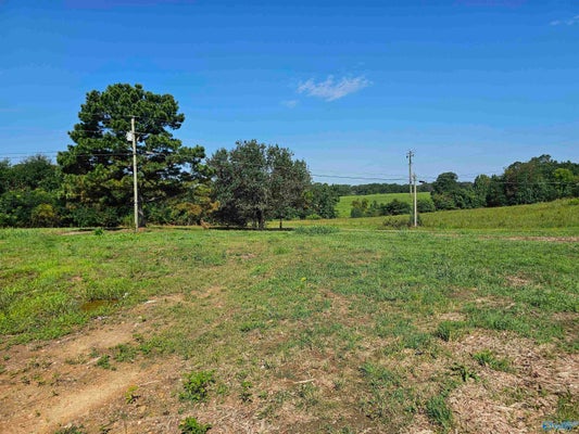 514 MOCKINGBIRD RD, ARAB, AL 35016 - Image 6ba640a1c21caa59eaa2dfdeba26a63f/563877019