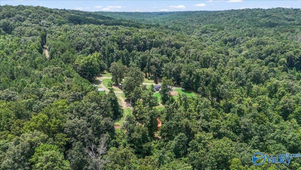 456 KELLER HOLLOW RD, EVA, AL 35621 - Image 6bb5c7d925bfb70000a30a8e21a8b455/1938575493
