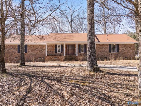 Photo of 6729 Highway 53, Harvest, AL 35749 (MLS # 21912867)
