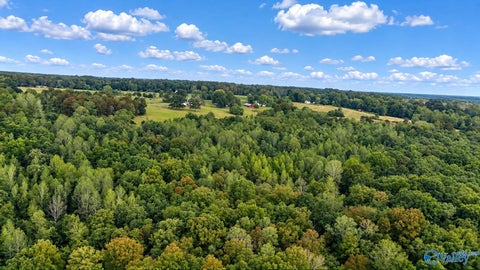 Vacant Land For Sale - 14 AC Wallace Avenue<br/> Fort Payne, AL 35967