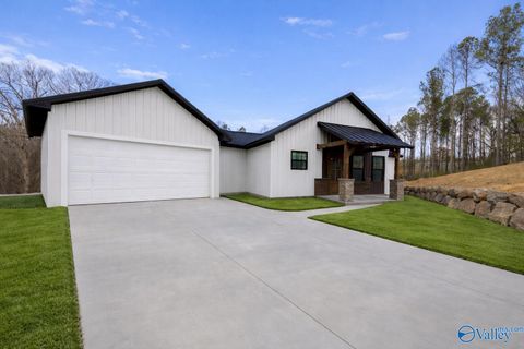 Homes For Sale - 6400 Dalewood Lane<br/> Guntersville, AL 35976