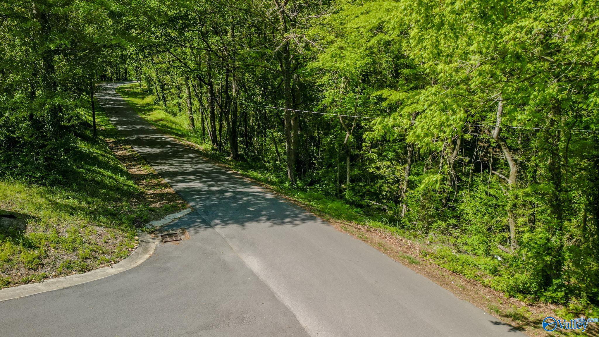 1.25 Deerman Street, Guntersville, Alabama image 8