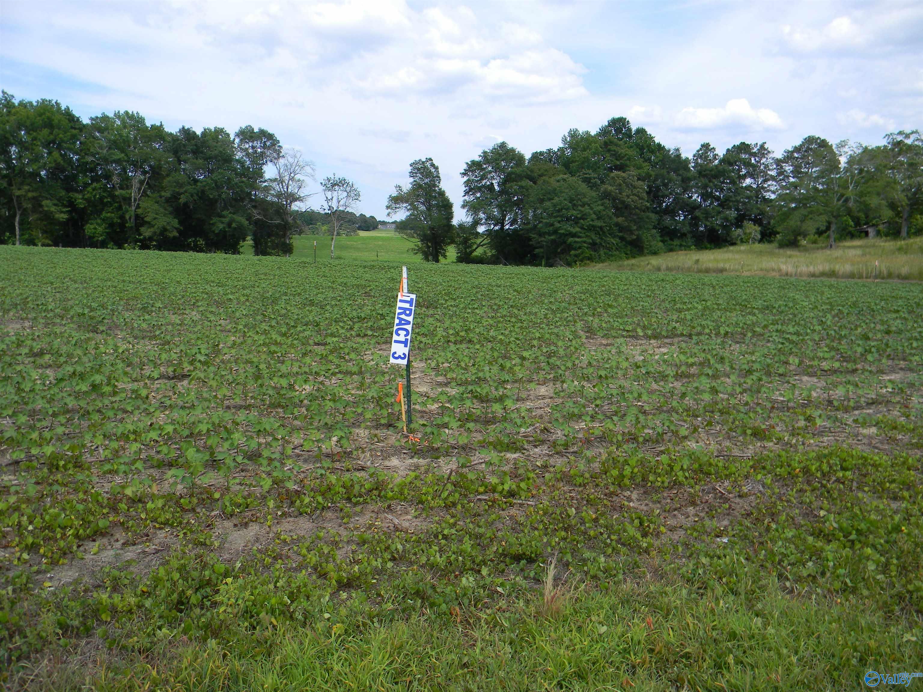 Lot 3 County Road 40, Centre, Alabama image 1