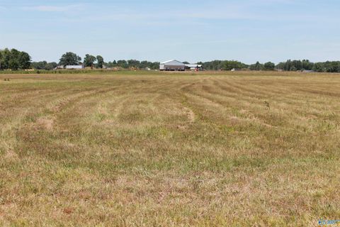 Vacant Land For Sale - TRACT 6 W Highway 55<br/> Falkville, AL 35622