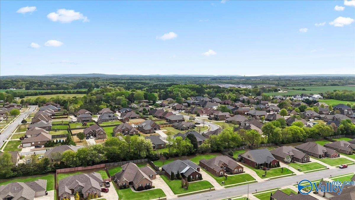 13552 Arbor Ridge, Madison, Alabama image 48