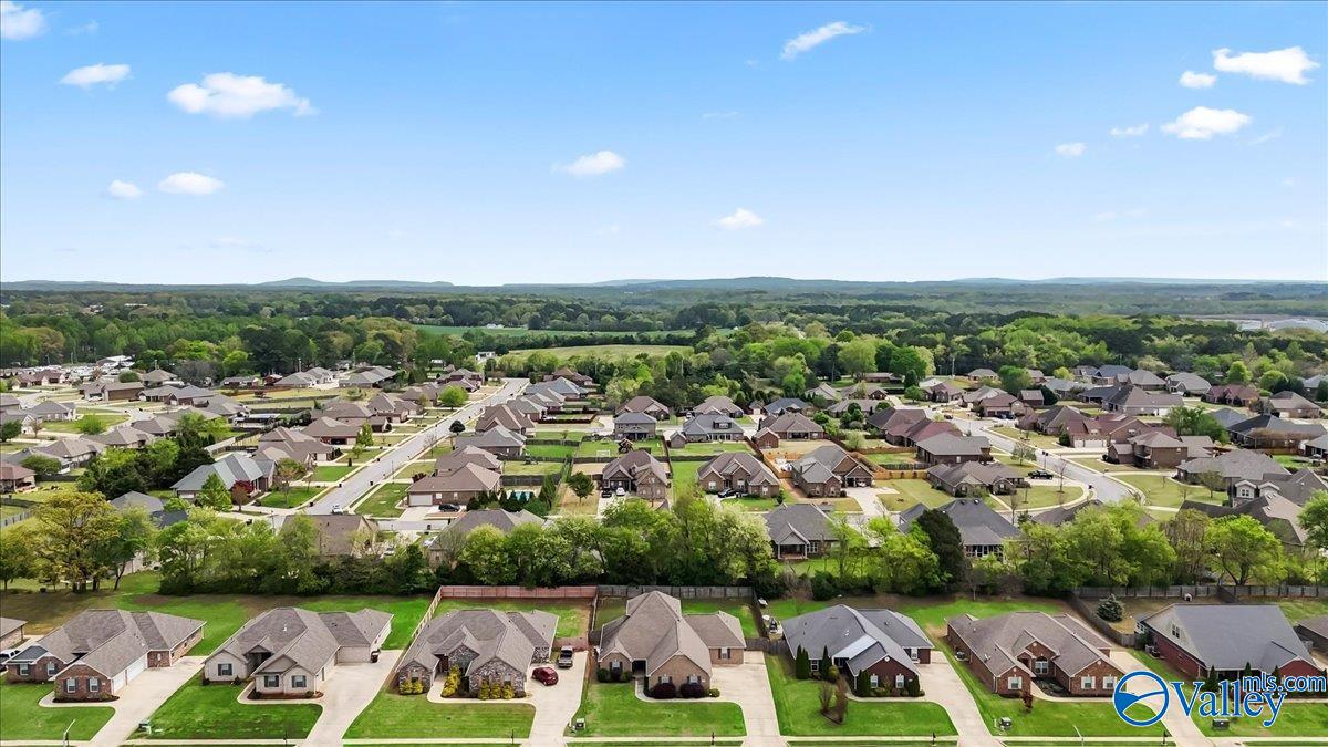 13552 Arbor Ridge, Madison, Alabama image 46