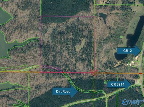 Vacant Land For Sale - 40AC County Road 3914<br/> Arley, AL 35541