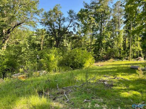 Vacant Land For Sale - 2881 Robinson Drive<br/> Birmingham, AL 35211