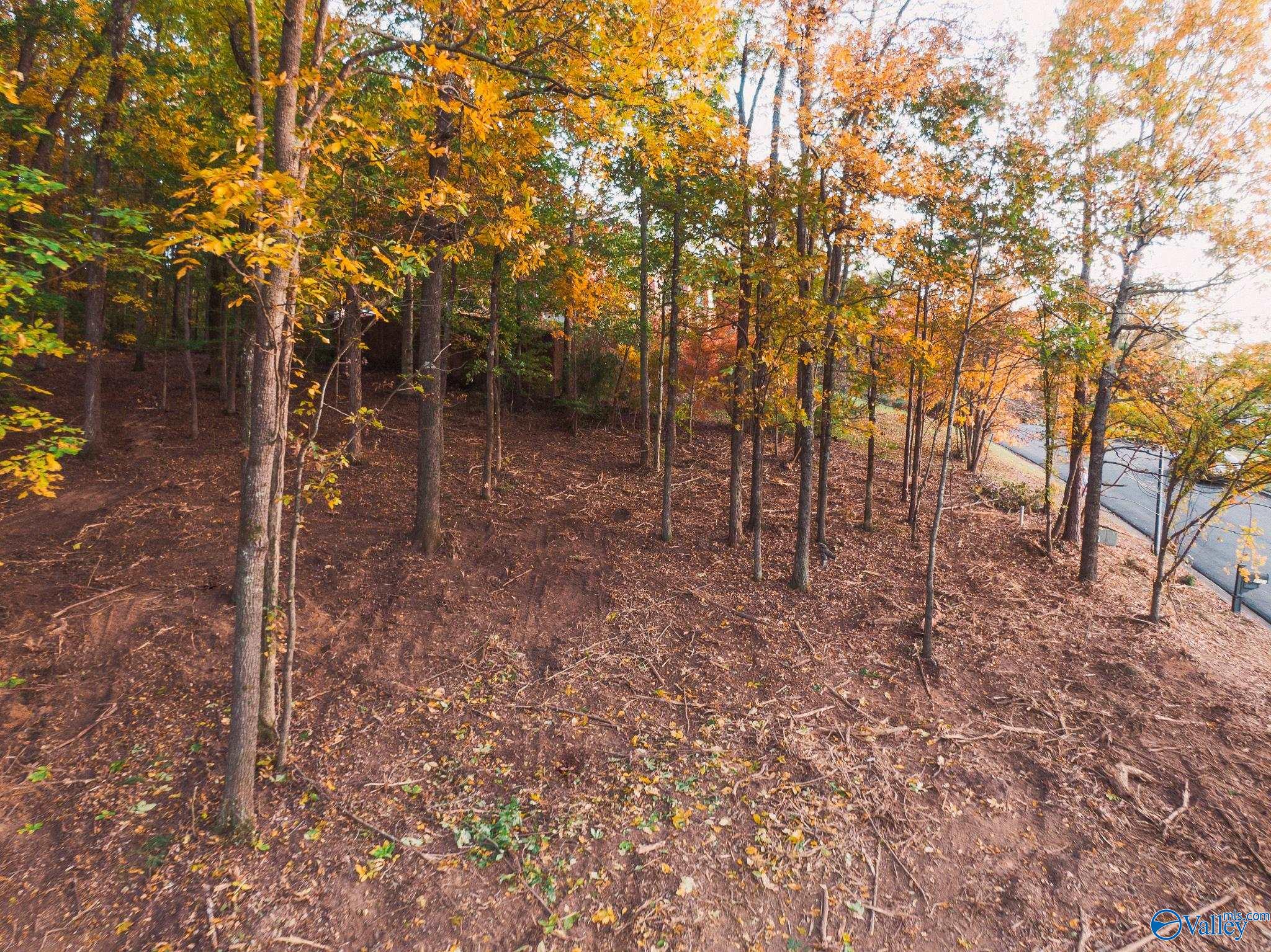 Lot 27 & 28 Hualapai Lane, Guntersville, Alabama image 16