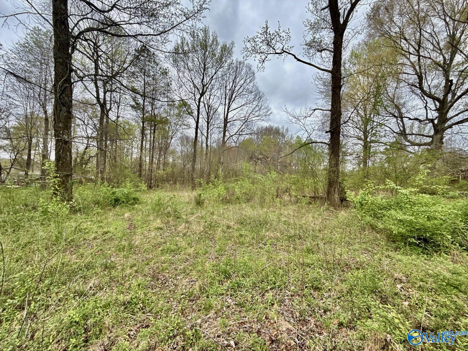 Tract 3 Boles Road, Hazel Green, Alabama image 2