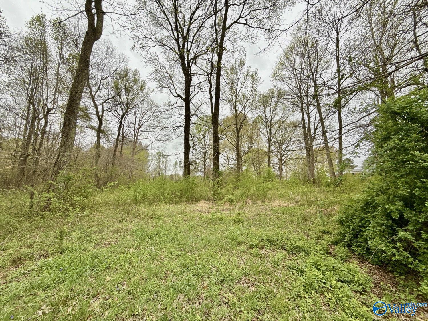 Tract 3 Boles Road, Hazel Green, Alabama image 3