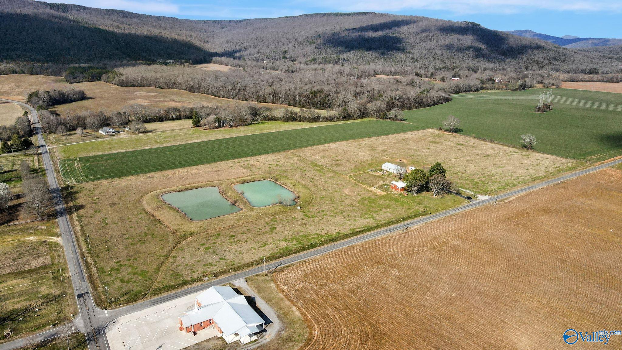 1525 County Road 32, Fackler, Alabama image 4