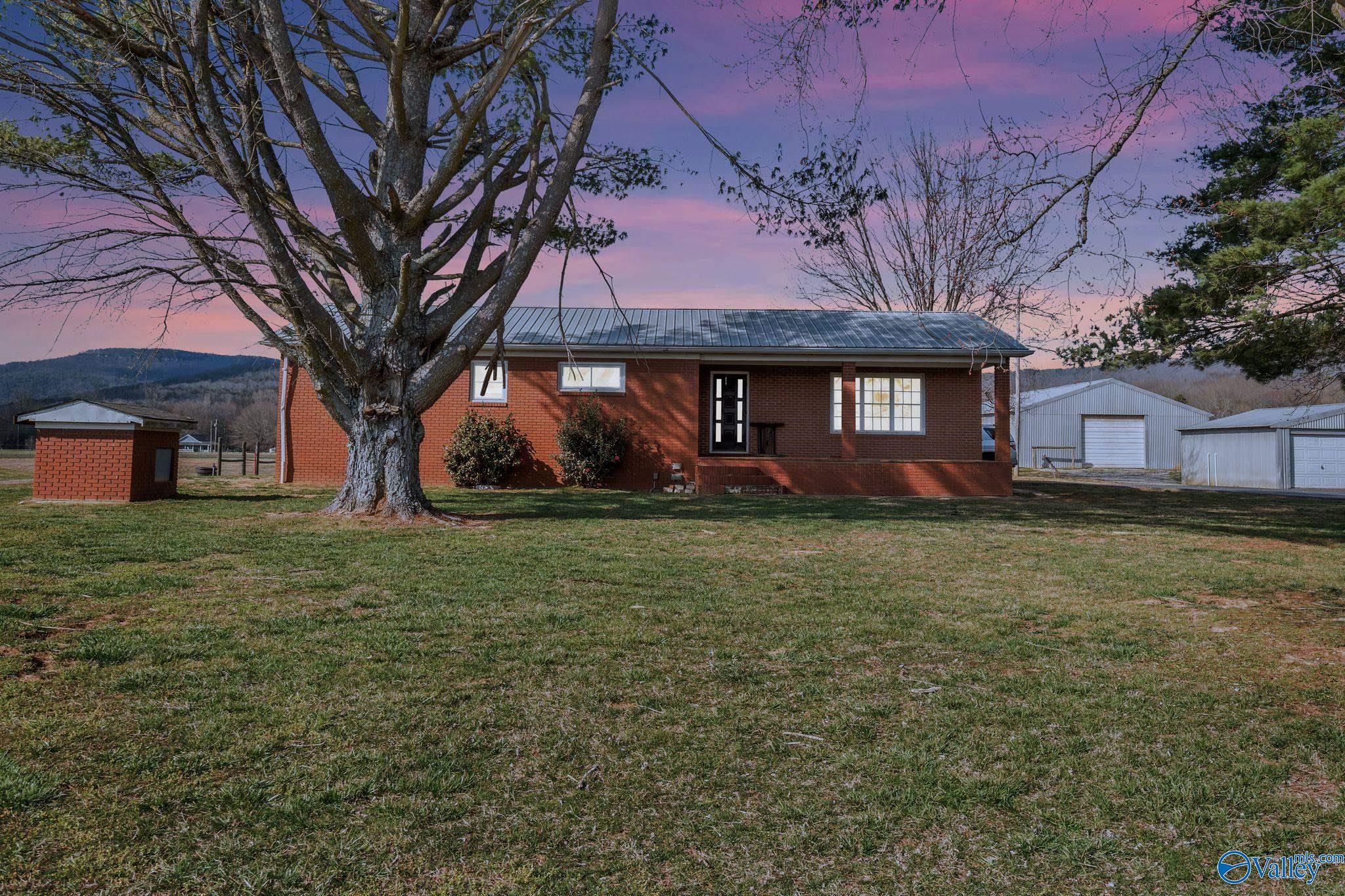1525 County Road 32, Fackler, Alabama image 1