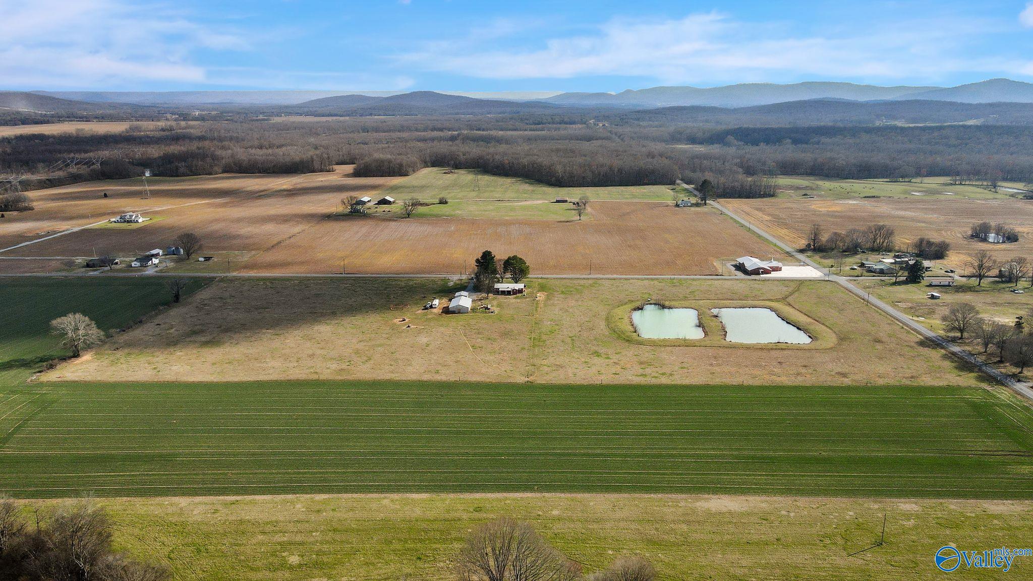 1525 County Road 32, Fackler, Alabama image 40