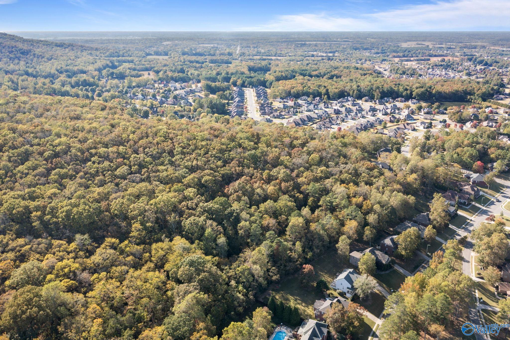 11.33 Acres Jeff View Court, Harvest, Alabama image 6