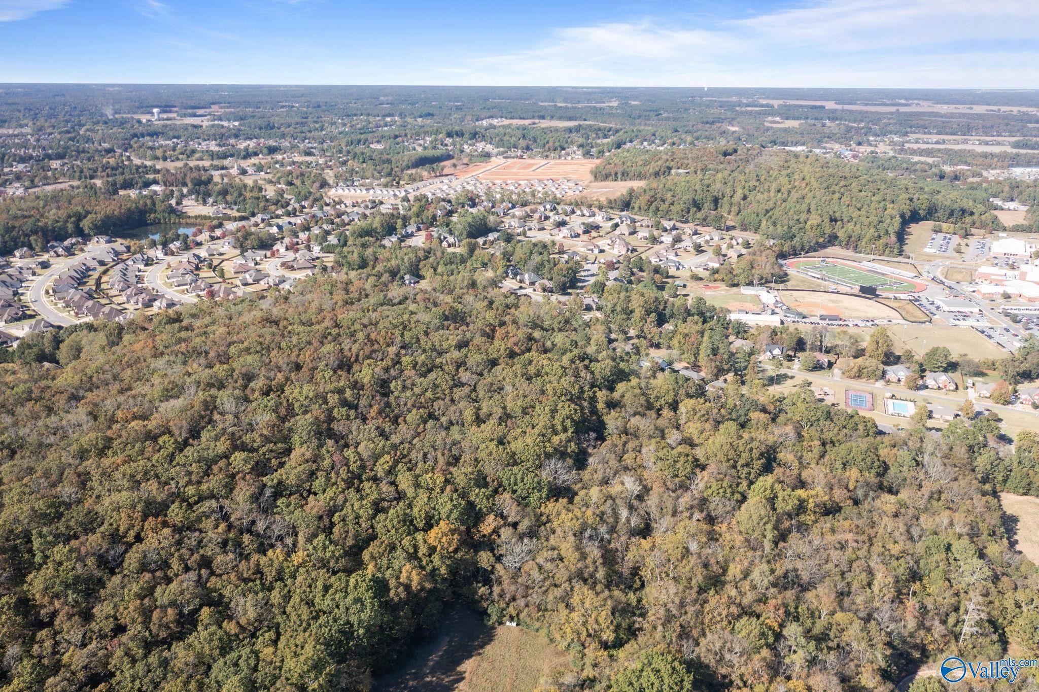 11.33 Acres Jeff View Court, Harvest, Alabama image 2