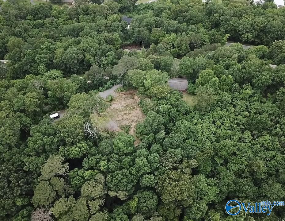 1495 Timberwalk Drive, Guntersville, Alabama image 11