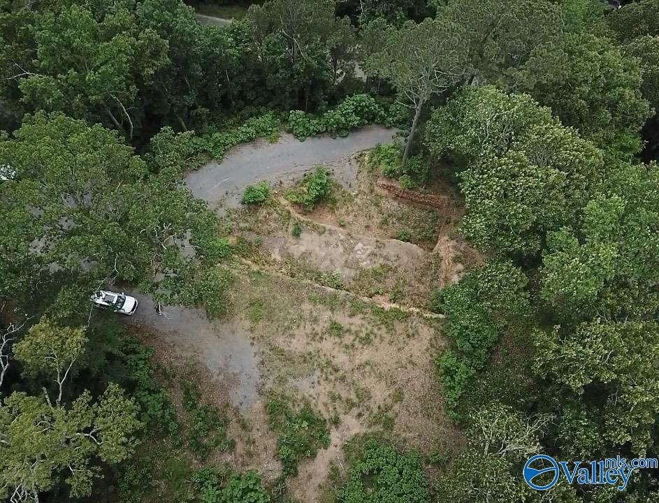 1495 Timberwalk Drive, Guntersville, Alabama image 7
