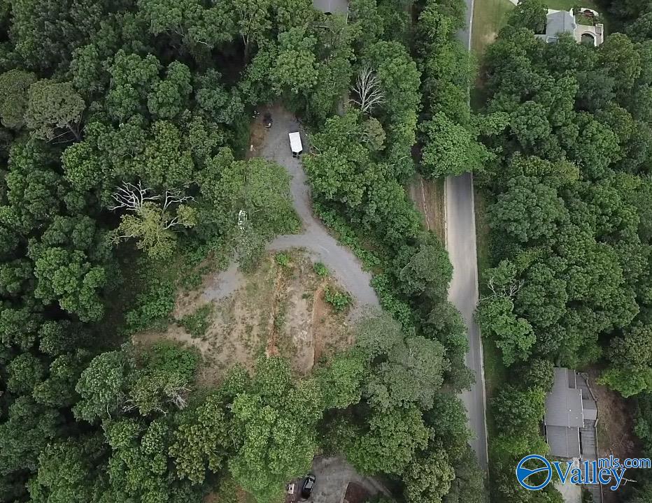 1495 Timberwalk Drive, Guntersville, Alabama image 10