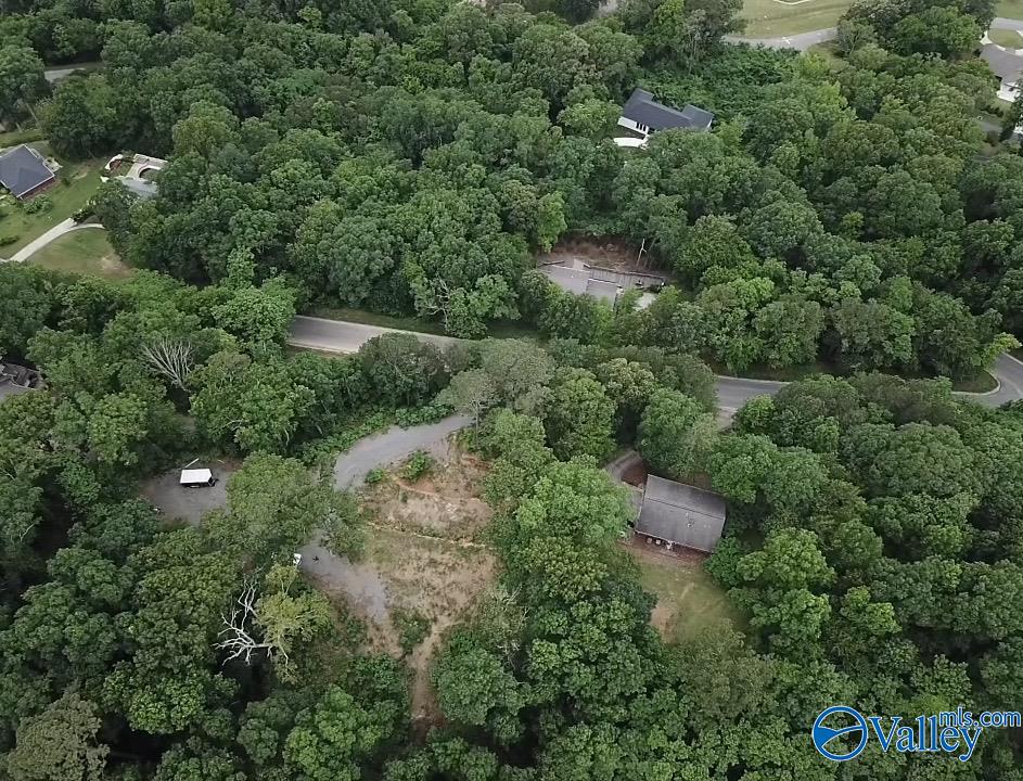 1495 Timberwalk Drive, Guntersville, Alabama image 8