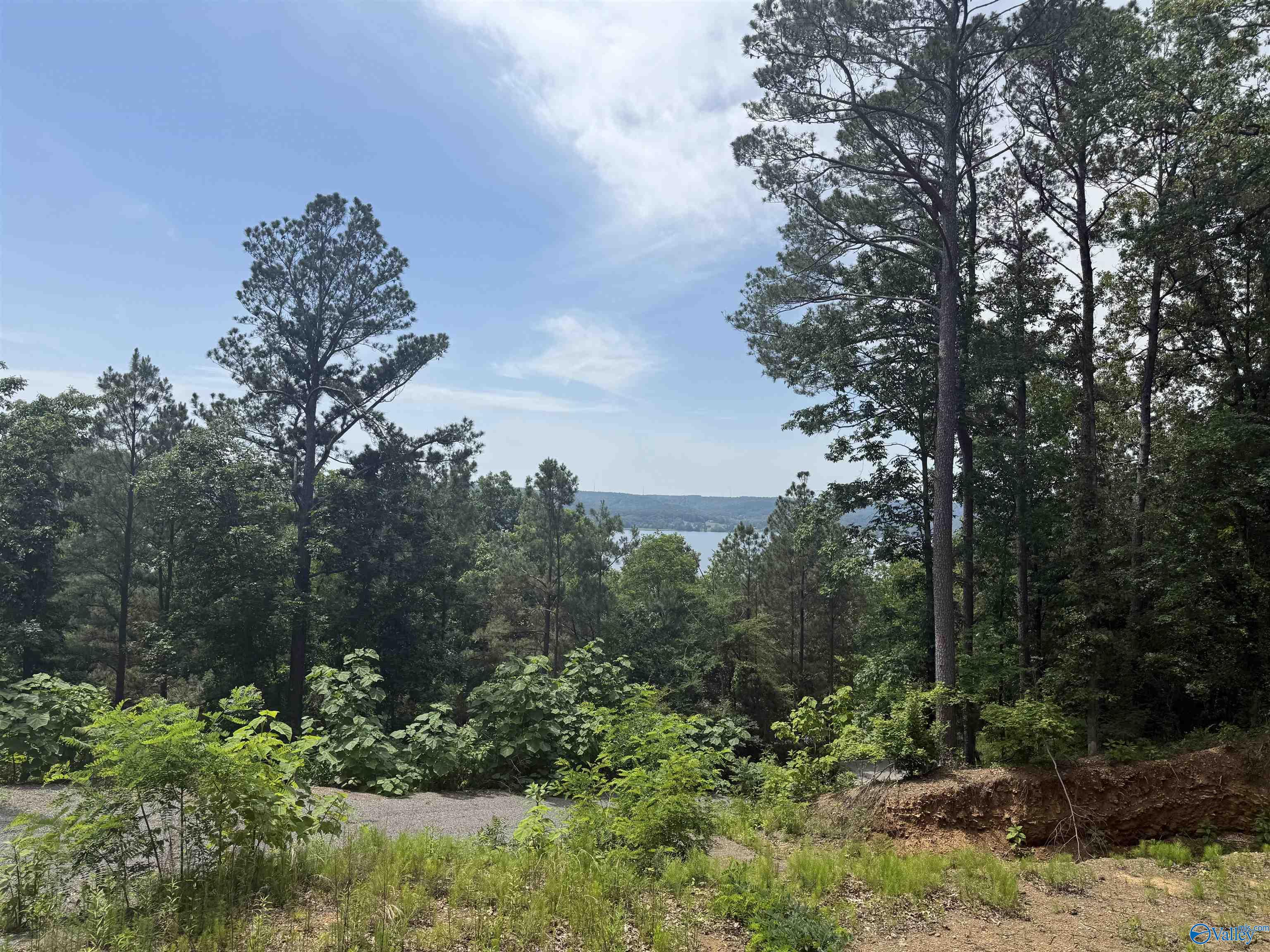 1495 Timberwalk Drive, Guntersville, Alabama image 1