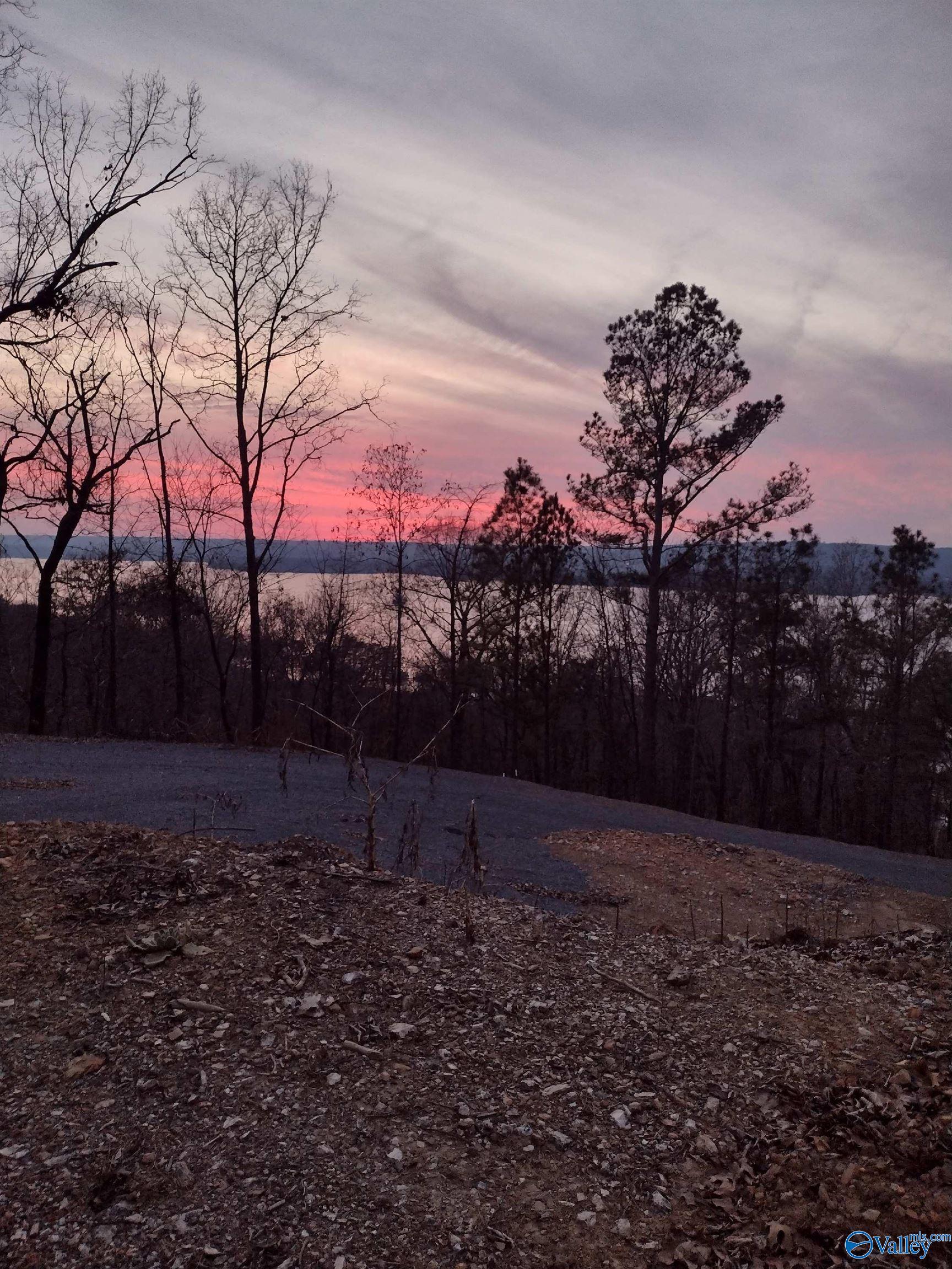 1495 Timberwalk Drive, Guntersville, Alabama image 3