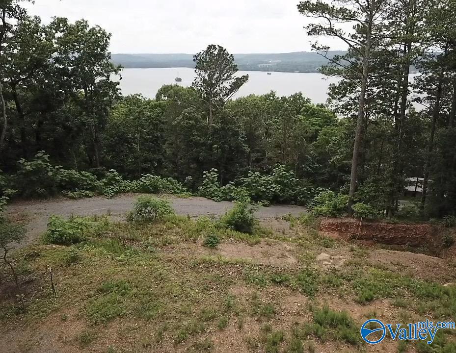1495 Timberwalk Drive, Guntersville, Alabama image 12