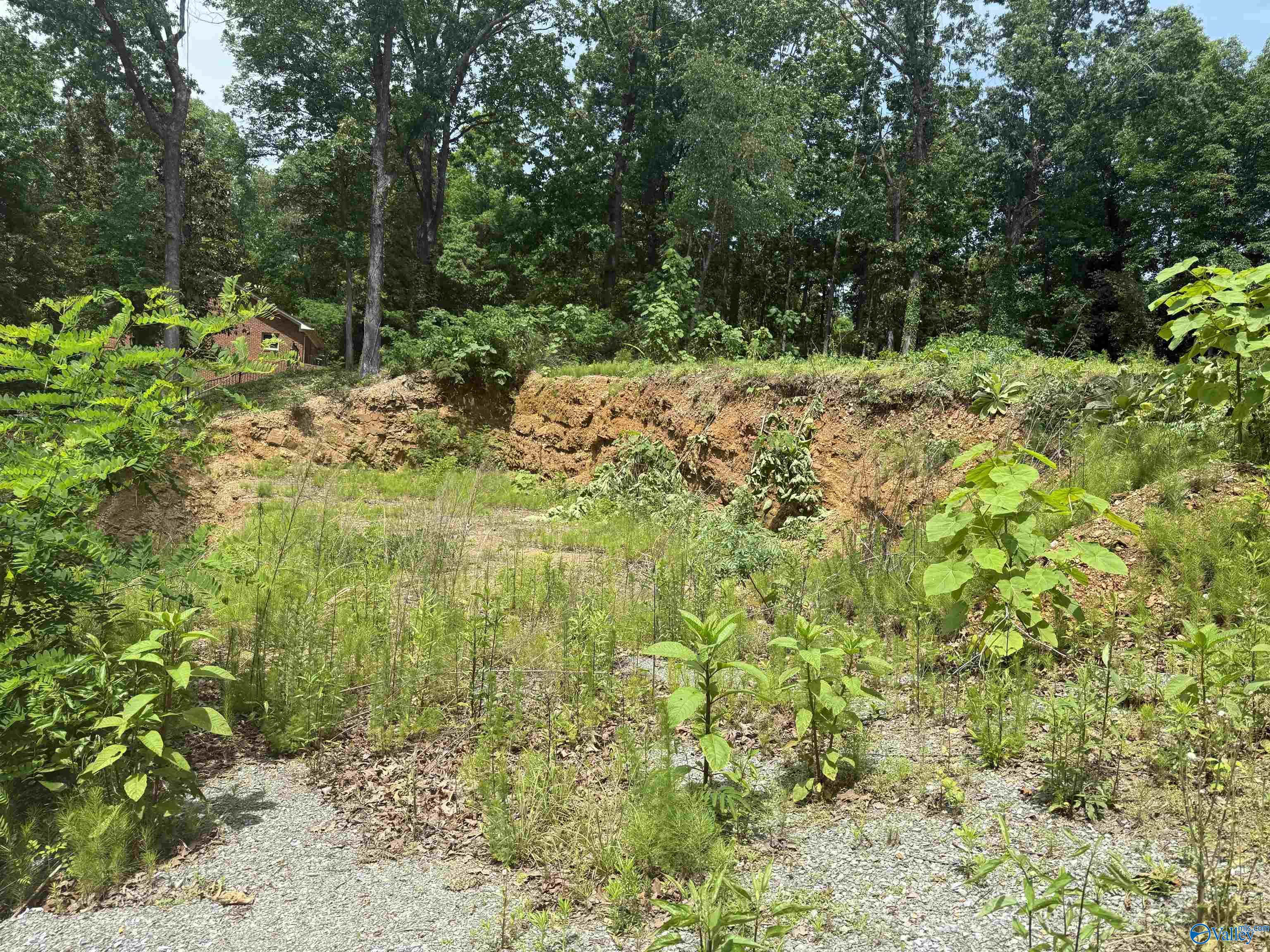 1495 Timberwalk Drive, Guntersville, Alabama image 5