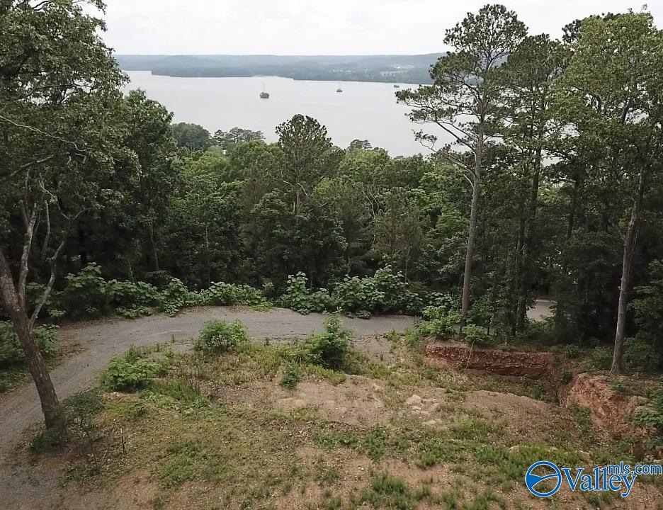 1495 Timberwalk Drive, Guntersville, Alabama image 13
