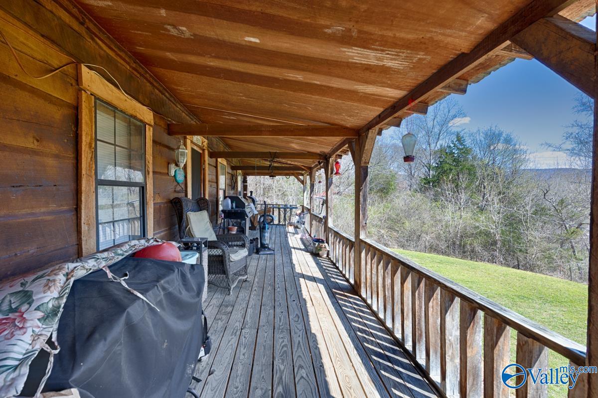 2278 County Road 4, Hollytree, Alabama image 2