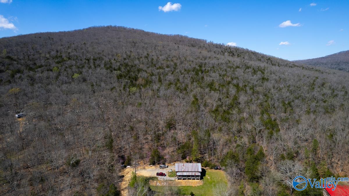 2278 County Road 4, Hollytree, Alabama image 9