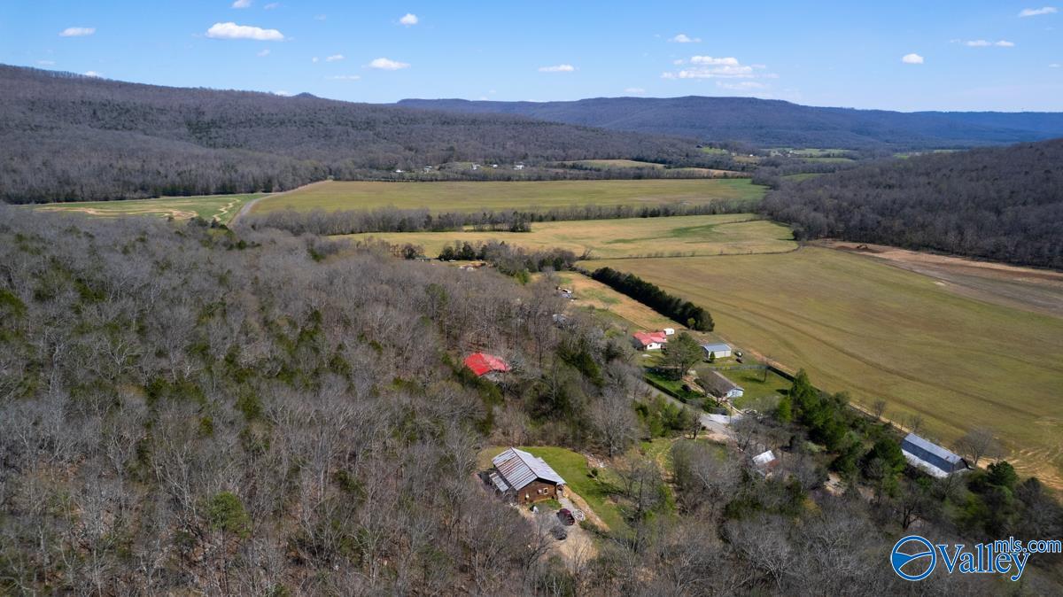 2278 County Road 4, Hollytree, Alabama image 7