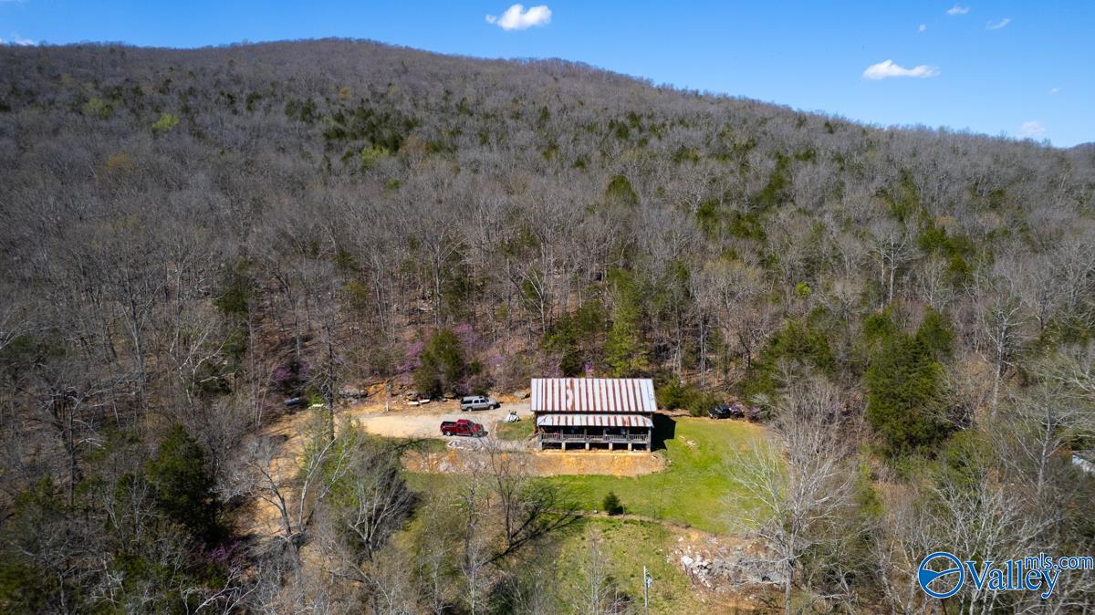 2278 County Road 4, Hollytree, Alabama image 5
