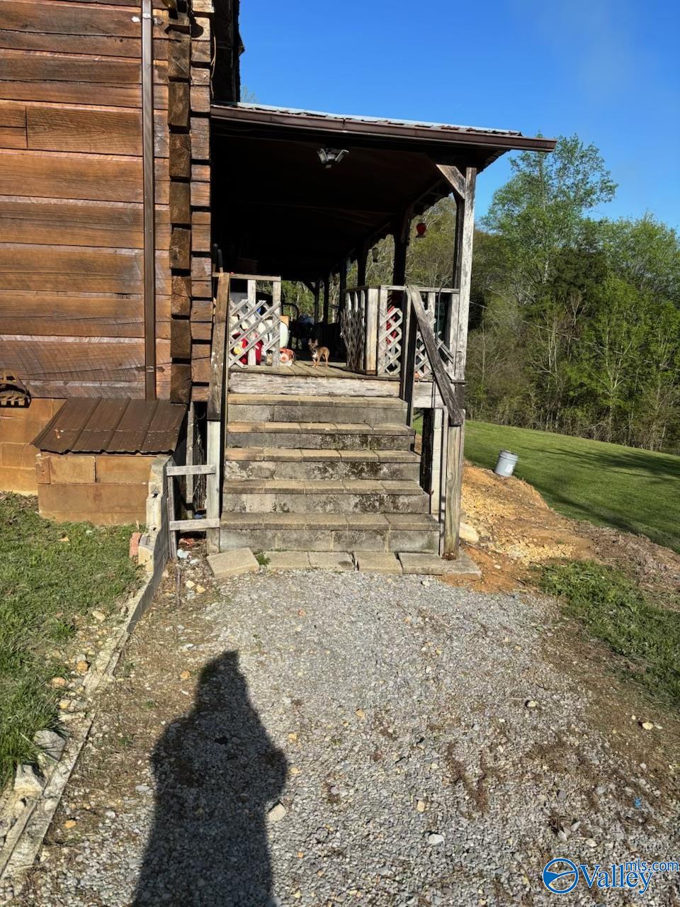 2278 County Road 4, Hollytree, Alabama image 4