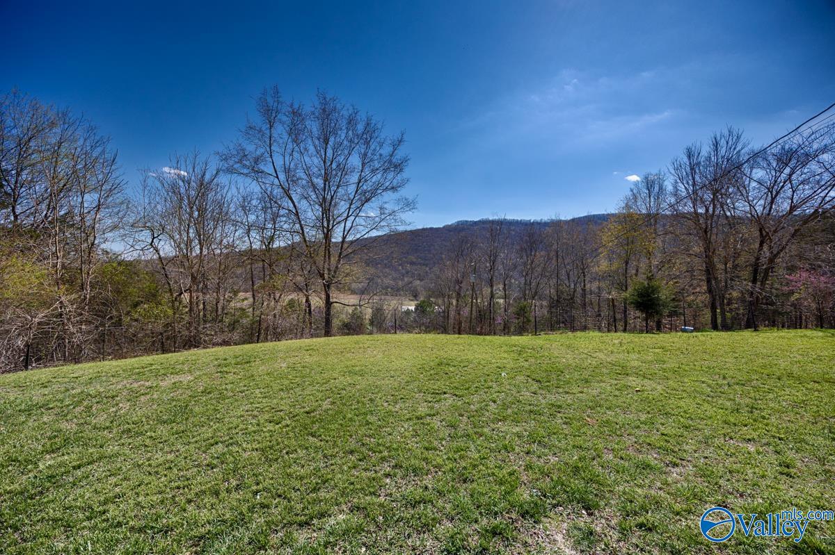 2278 County Road 4, Hollytree, Alabama image 11
