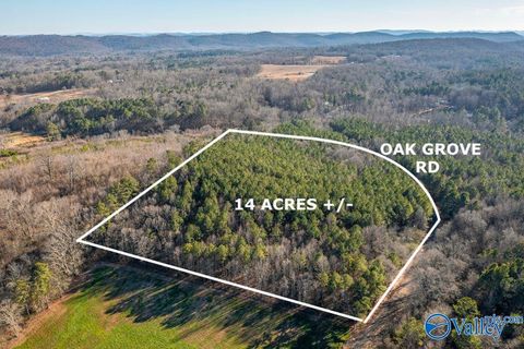 Vacant Land For Sale - 14 ACRES +/- Oak Grove Road<br/> Etowah County, Attalla, AL 35954