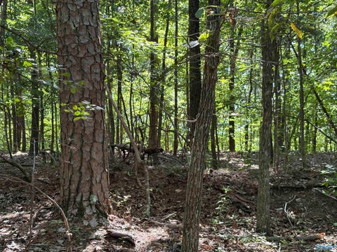 Vacant Land For Sale - 1500 County Highway 103 #LOT 52<br/> Mentone, AL 35984