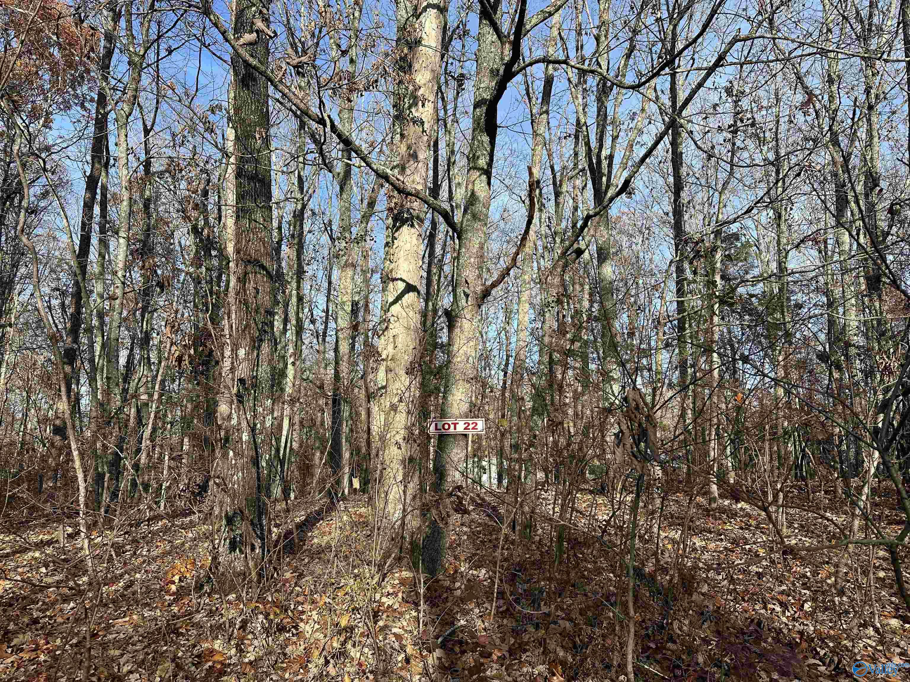 Lot 22 Woodfern Drive, Scottsboro, Alabama image 3