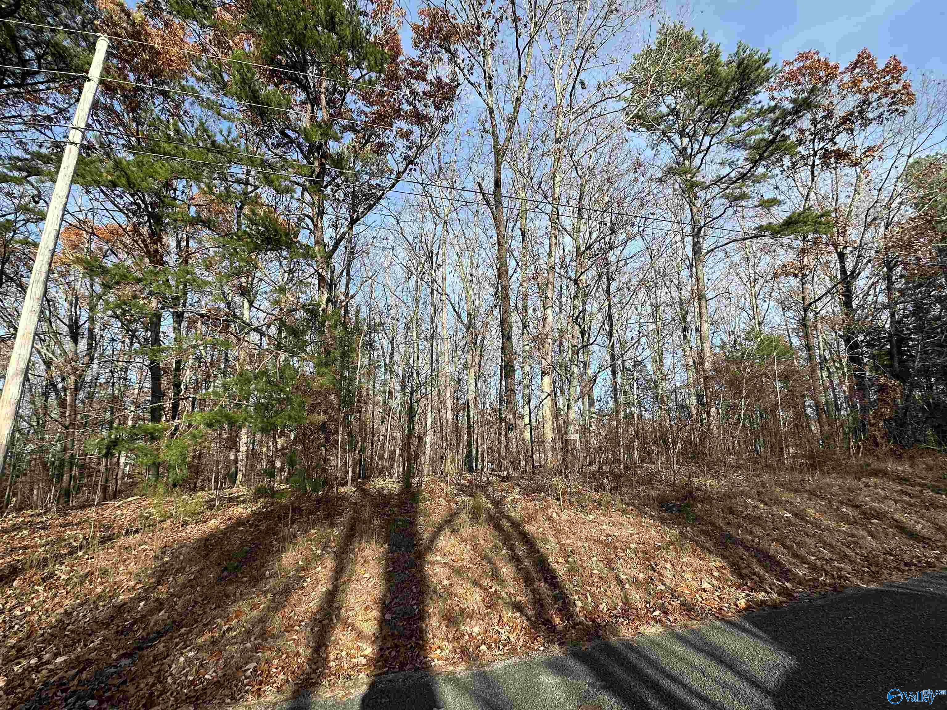 Lot 22 Woodfern Drive, Scottsboro, Alabama image 2