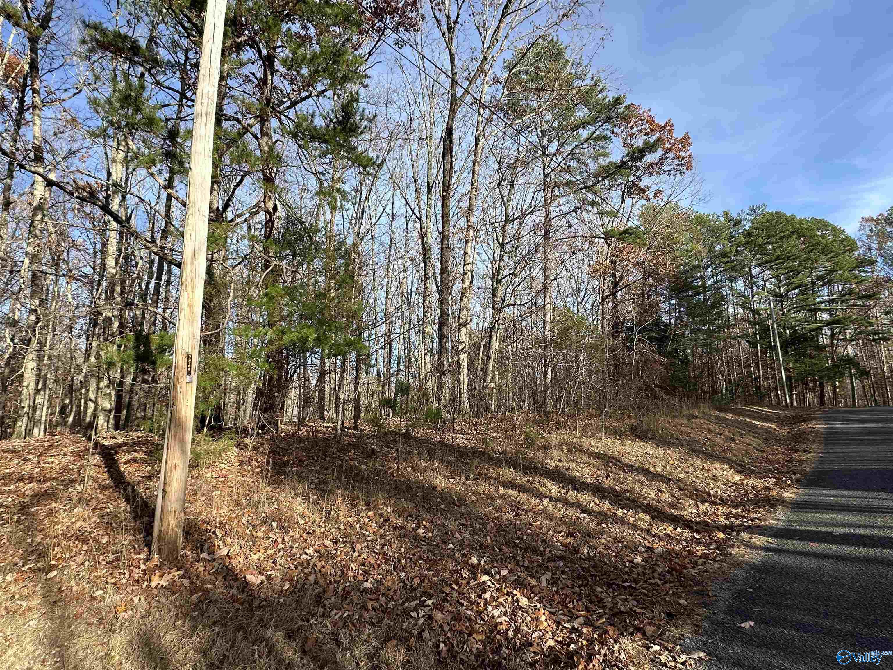 Lot 22 Woodfern Drive, Scottsboro, Alabama image 1