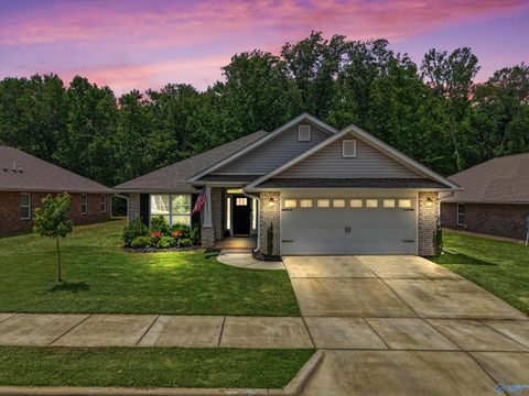 Homes For Sale - 14275 Wildflower Drive<br/> Limestone County, Harvest, AL 35749