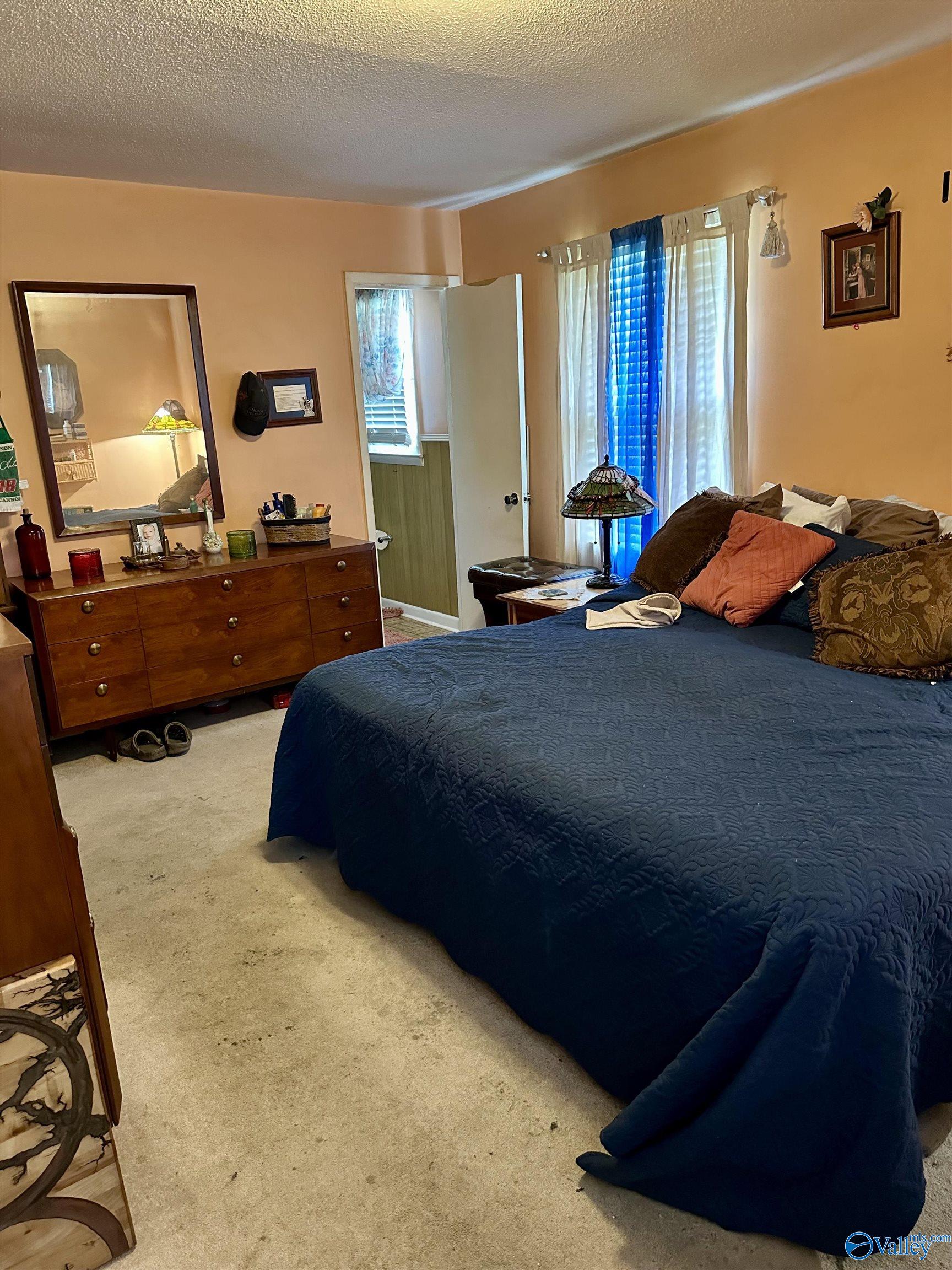 1212 Twin Lake Circle, Hartselle, Alabama image 12