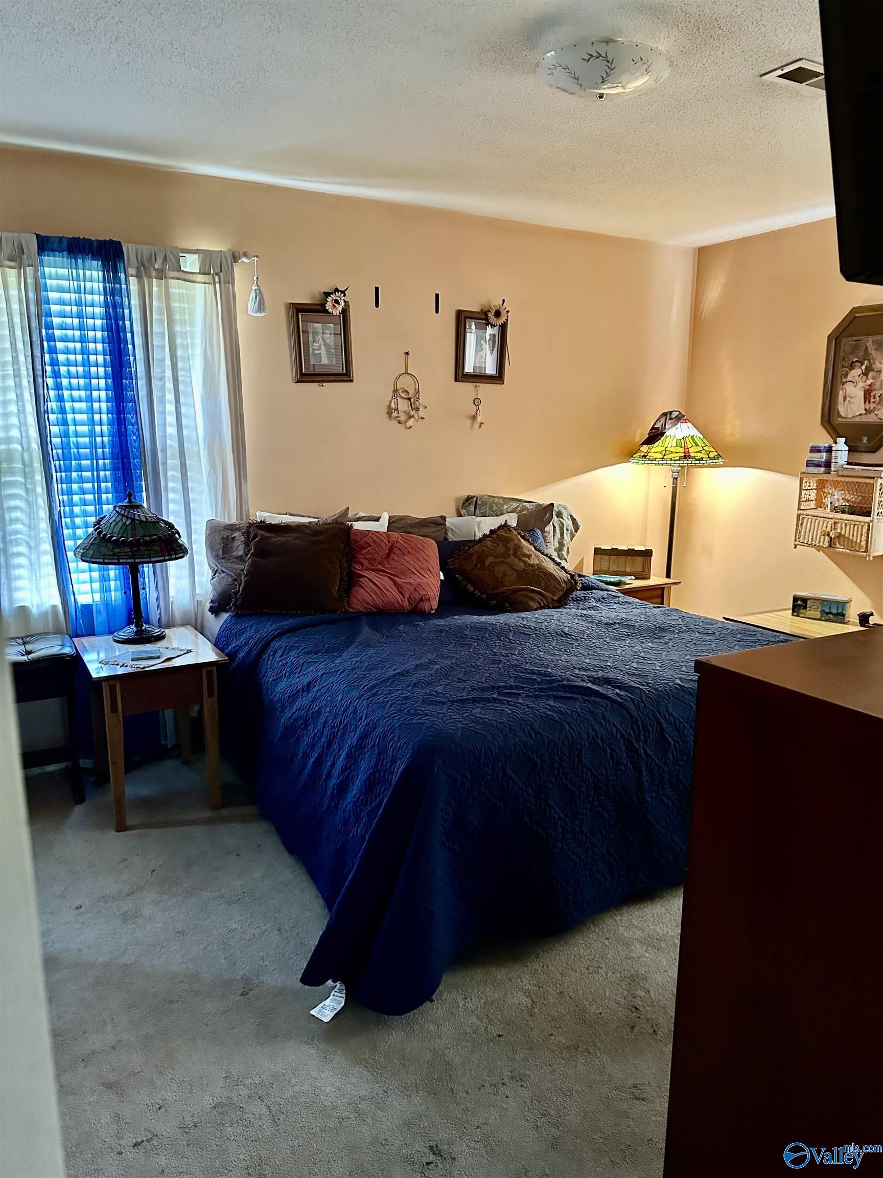 1212 Twin Lake Circle, Hartselle, Alabama image 14