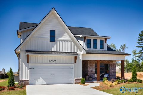 Homes For Sale - 22 Belle Park Lane<br/> Huntsville, AL 35803