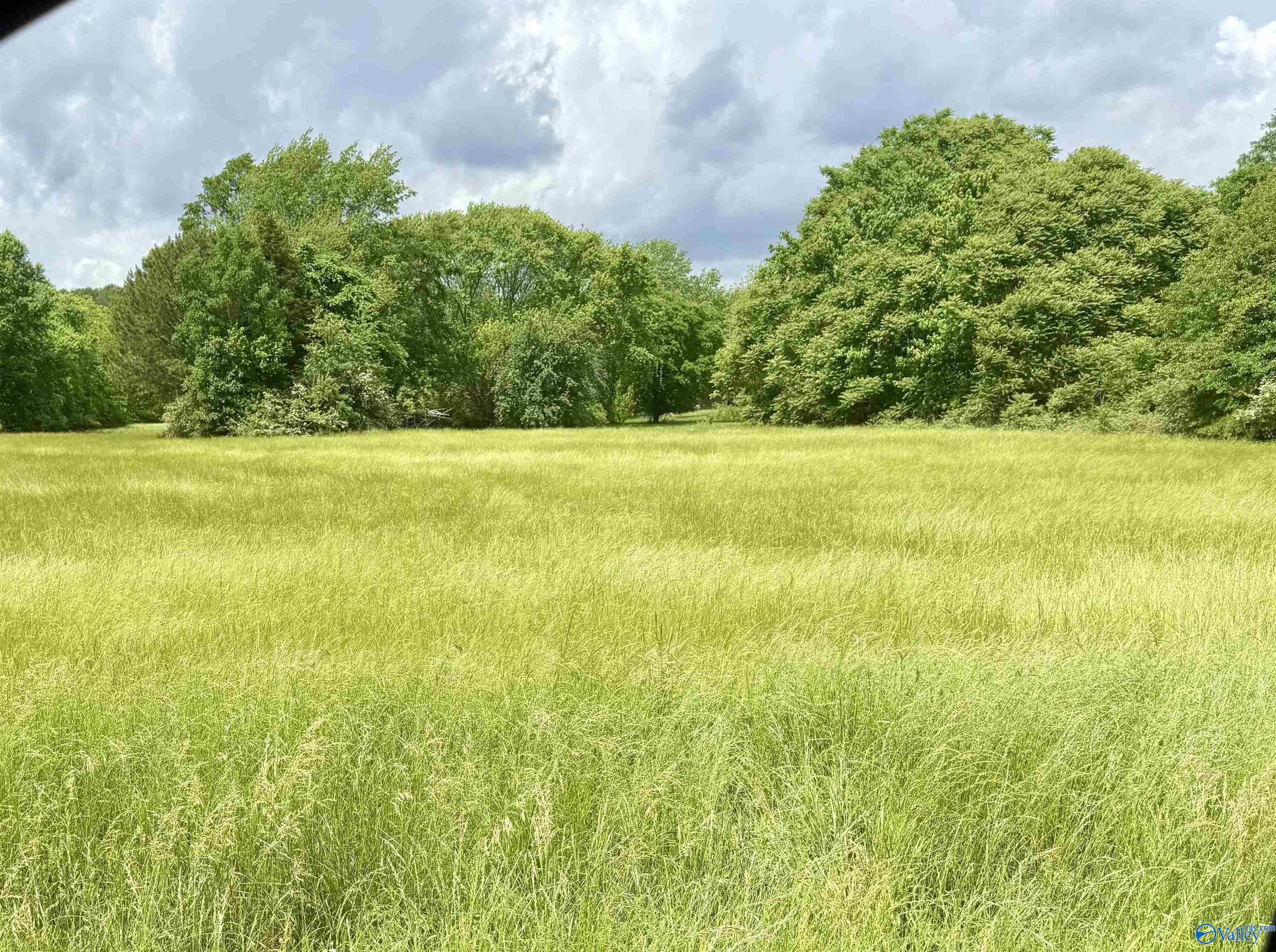 .79 Mount Lebanon Road, Toney, Alabama image 1