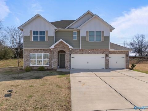 Homes For Sale - 101 River Springs Court<br/> New Market, AL 35761